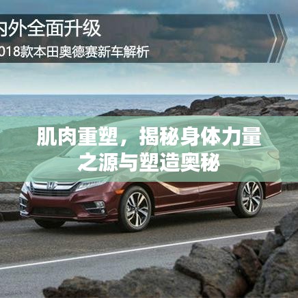 肌肉重塑，揭秘身體力量之源與塑造奧秘