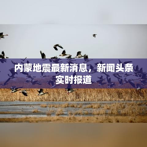 內(nèi)蒙地震最新消息，新聞頭條實時報道
