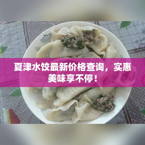 夏津水餃最新價(jià)格查詢，實(shí)惠美味享不停！