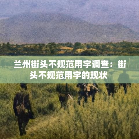 蘭州街頭不規(guī)范用字調(diào)查：街頭不規(guī)范用字的現(xiàn)狀 