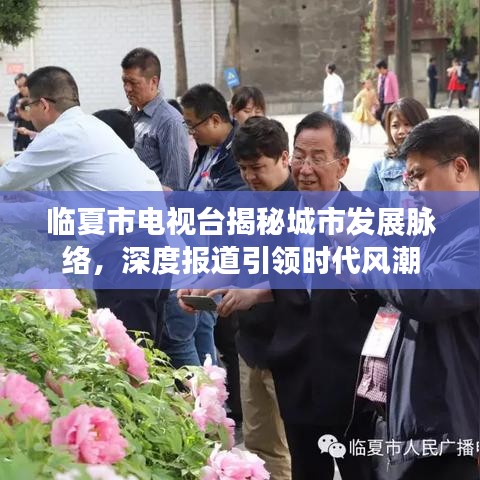 臨夏市電視臺(tái)揭秘城市發(fā)展脈絡(luò)，深度報(bào)道引領(lǐng)時(shí)代風(fēng)潮