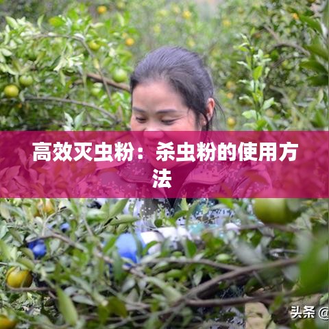 駢首就僇 第3頁(yè)