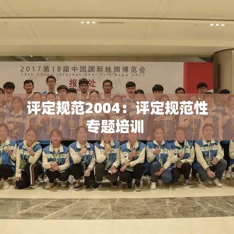 評定規(guī)范2004：評定規(guī)范性專題培訓 