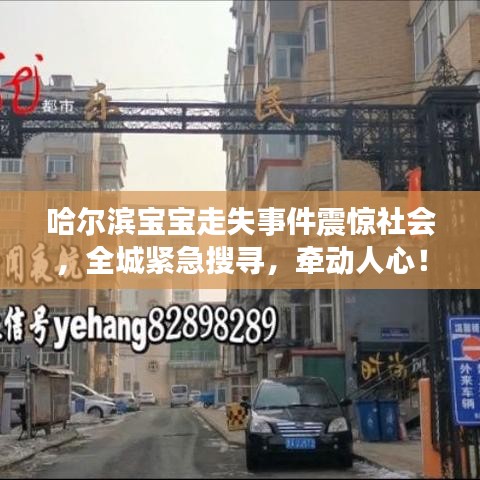 哈爾濱寶寶走失事件震驚社會，全城緊急搜尋，牽動人心！