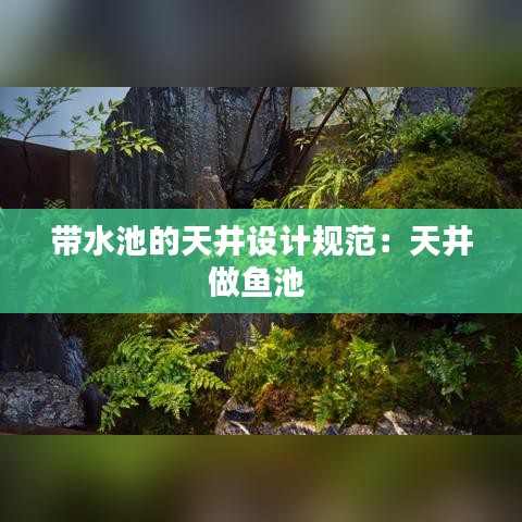 帶水池的天井設(shè)計(jì)規(guī)范：天井做魚(yú)池 