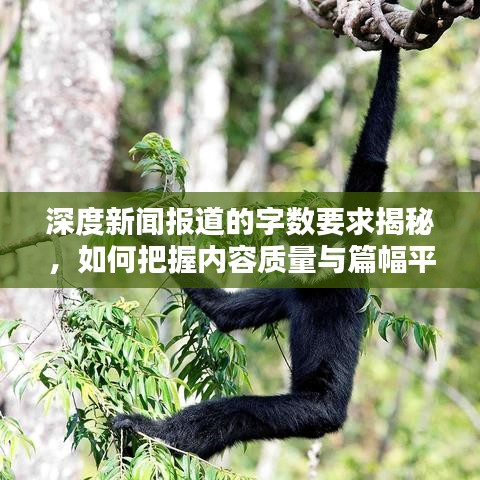 深度新聞報(bào)道的字?jǐn)?shù)要求揭秘，如何把握內(nèi)容質(zhì)量與篇幅平衡？