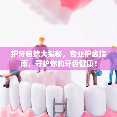 護(hù)牙秘籍大揭秘，專(zhuān)業(yè)護(hù)齒指南，守護(hù)你的牙齒健康！