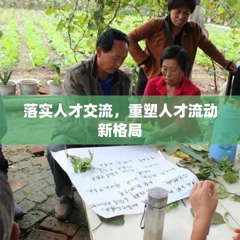 落實人才交流，重塑人才流動新格局