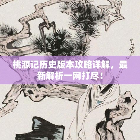 桃源記歷史版本攻略詳解，最新解析一網(wǎng)打盡！