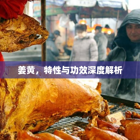 姜黃，特性與功效深度解析