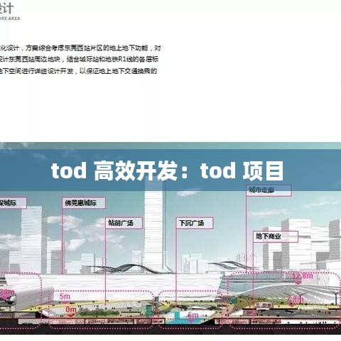 tod 高效開(kāi)發(fā)：tod 項(xiàng)目 