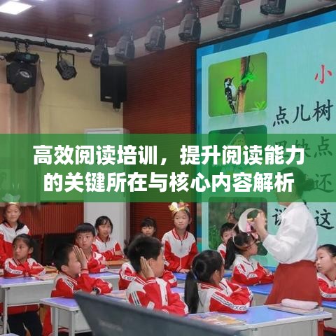 高效閱讀培訓(xùn)，提升閱讀能力的關(guān)鍵所在與核心內(nèi)容解析
