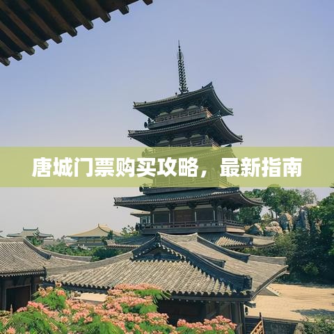 唐城門(mén)票購(gòu)買(mǎi)攻略，最新指南