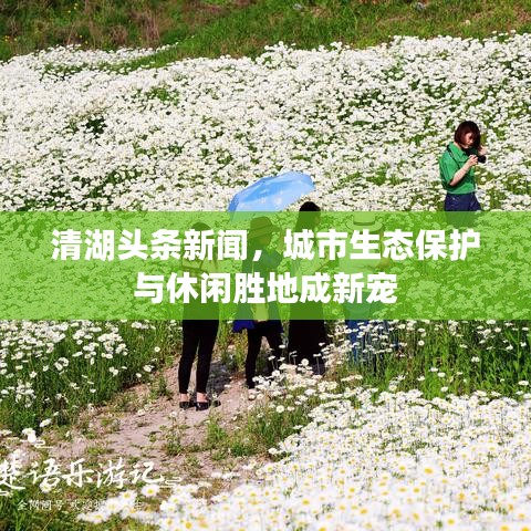 清湖頭條新聞，城市生態(tài)保護(hù)與休閑勝地成新寵