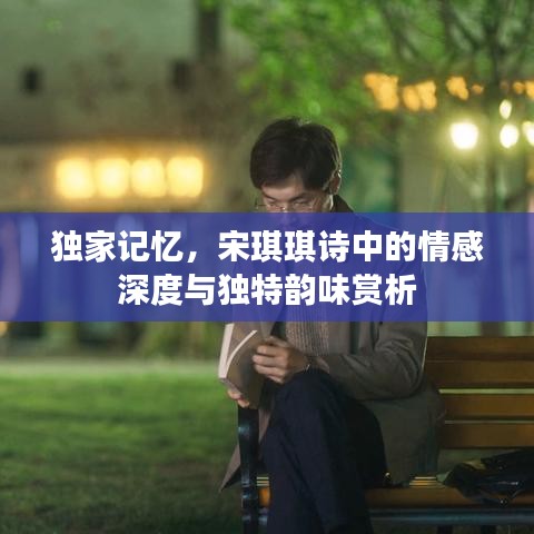 獨(dú)家記憶，宋琪琪詩中的情感深度與獨(dú)特韻味賞析