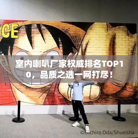 室內(nèi)喇叭廠家權(quán)威排名TOP10，品質(zhì)之選一網(wǎng)打盡！