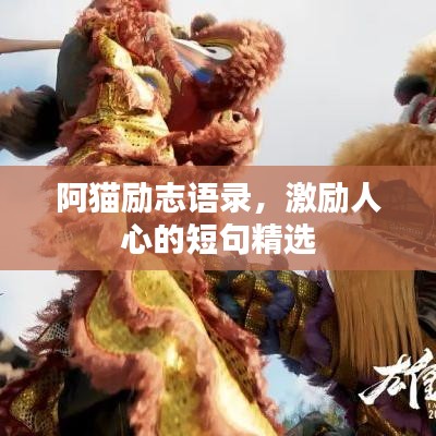 阿貓勵(lì)志語錄，激勵(lì)人心的短句精選