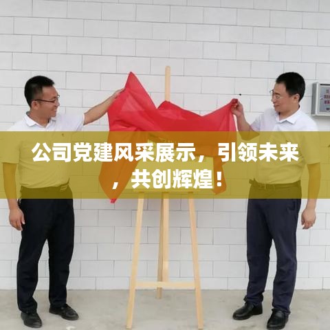 公司黨建風采展示，引領未來，共創(chuàng)輝煌！