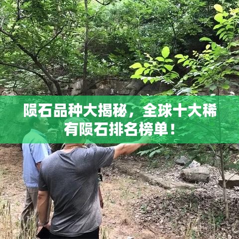 隕石品種大揭秘，全球十大稀有隕石排名榜單！