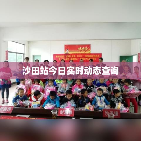 沙田站今日實(shí)時(shí)動(dòng)態(tài)查詢