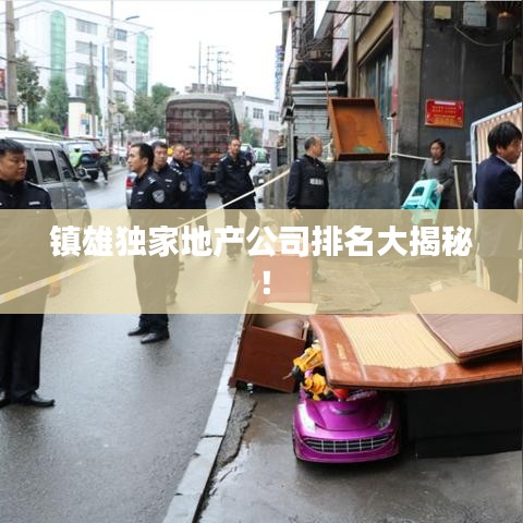 鎮(zhèn)雄獨家地產(chǎn)公司排名大揭秘！