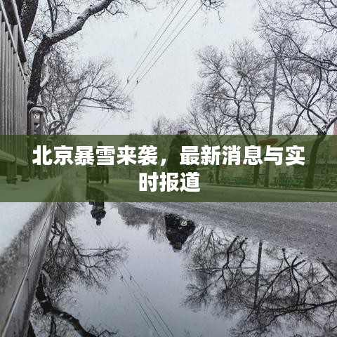 北京暴雪來襲，最新消息與實(shí)時(shí)報(bào)道