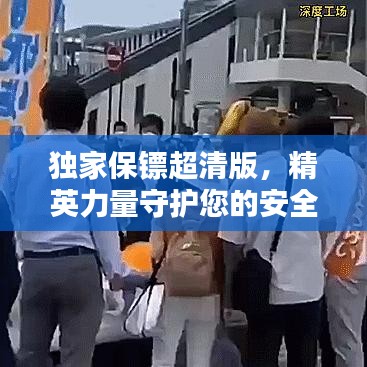 獨家保鏢超清版，精英力量守護您的安全