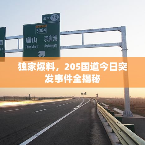 獨(dú)家爆料，205國道今日突發(fā)事件全揭秘