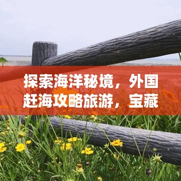 探索海洋秘境，外國趕海攻略旅游，寶藏之旅開啟！