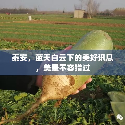 泰安，藍(lán)天白云下的美好訊息，美景不容錯(cuò)過(guò)