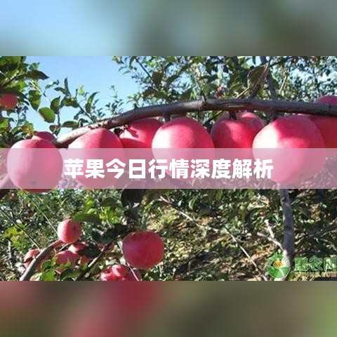 自由自在 第3頁