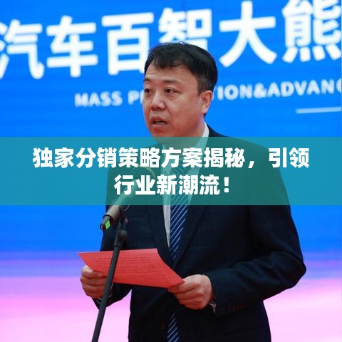 獨(dú)家分銷策略方案揭秘，引領(lǐng)行業(yè)新潮流！