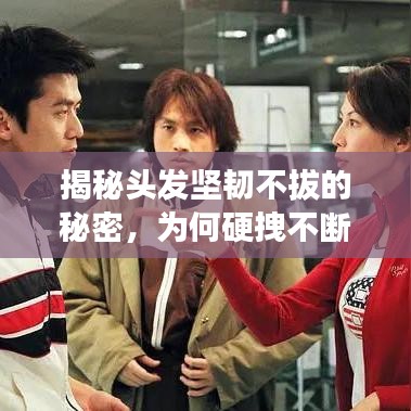 揭秘頭發(fā)堅(jiān)韌不拔的秘密，為何硬拽不斷？