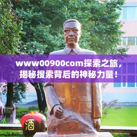 www00900com探索之旅，揭秘搜索背后的神秘力量！