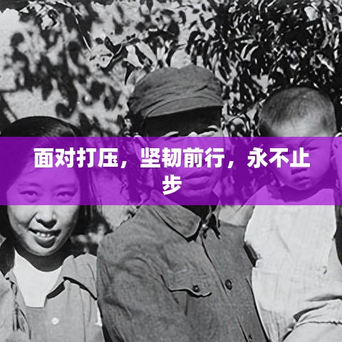 面對打壓，堅韌前行，永不止步