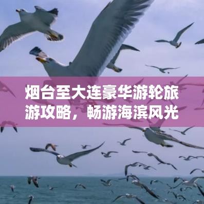 煙臺至大連豪華游輪旅游攻略，暢游海濱風(fēng)光，盡享海上盛宴！