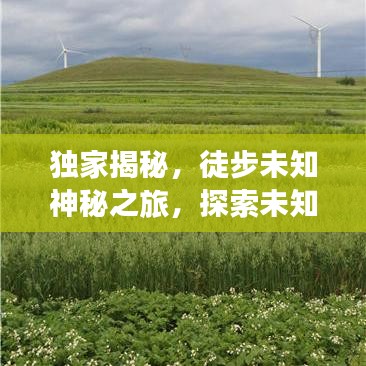 獨家揭秘，徒步未知神秘之旅，探索未知的極致體驗