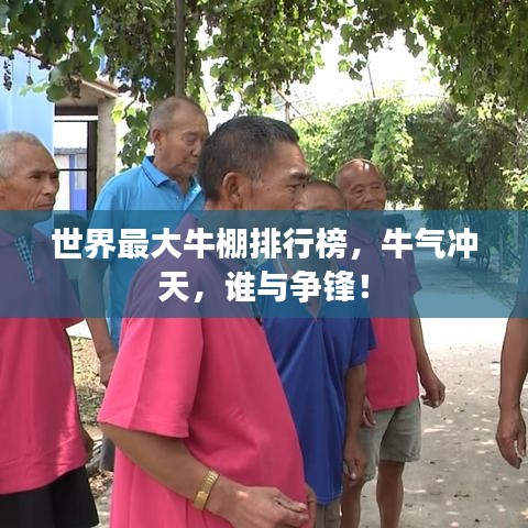 世界最大牛棚排行榜，牛氣沖天，誰(shuí)與爭(zhēng)鋒！