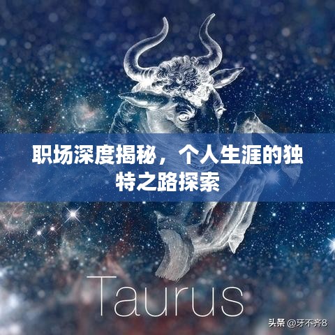 職場深度揭秘，個(gè)人生涯的獨(dú)特之路探索