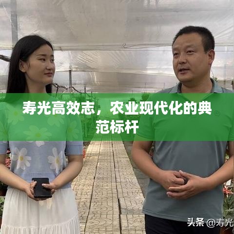 壽光高效志，農(nóng)業(yè)現(xiàn)代化的典范標(biāo)桿