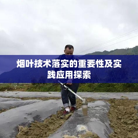 煙葉技術(shù)落實的重要性及實踐應(yīng)用探索