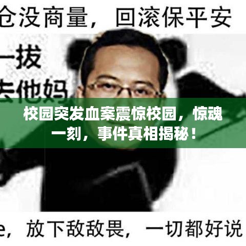 校園突發(fā)血案震驚校園，驚魂一刻，事件真相揭秘！