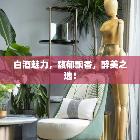 白酒魅力，馥郁飄香，醉美之選！