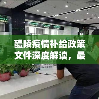 醴陵疫情補(bǔ)給政策文件深度解讀，最新動(dòng)態(tài)與要點(diǎn)解析