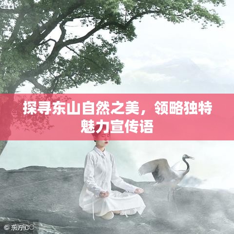 探尋東山自然之美，領(lǐng)略獨(dú)特魅力宣傳語