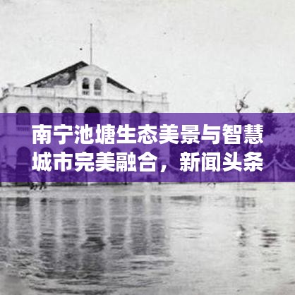 南寧池塘生態(tài)美景與智慧城市完美融合，新聞?lì)^條重磅報(bào)道