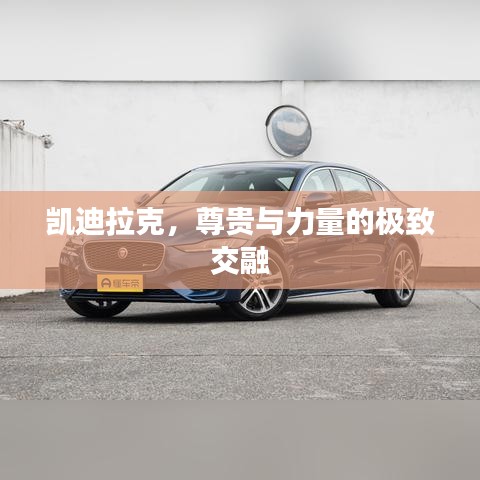 凱迪拉克，尊貴與力量的極致交融