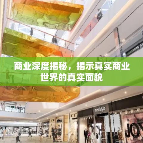 商業(yè)深度揭秘，揭示真實商業(yè)世界的真實面貌