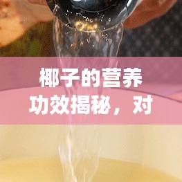 椰子的營養(yǎng)功效揭秘，對(duì)身體有哪些好處？百度來解答！