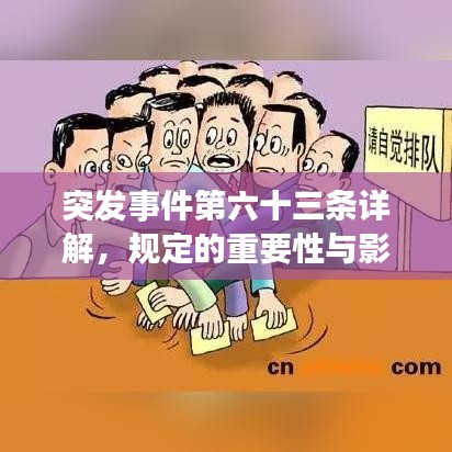 突發(fā)事件第六十三條詳解，規(guī)定的重要性與影響
